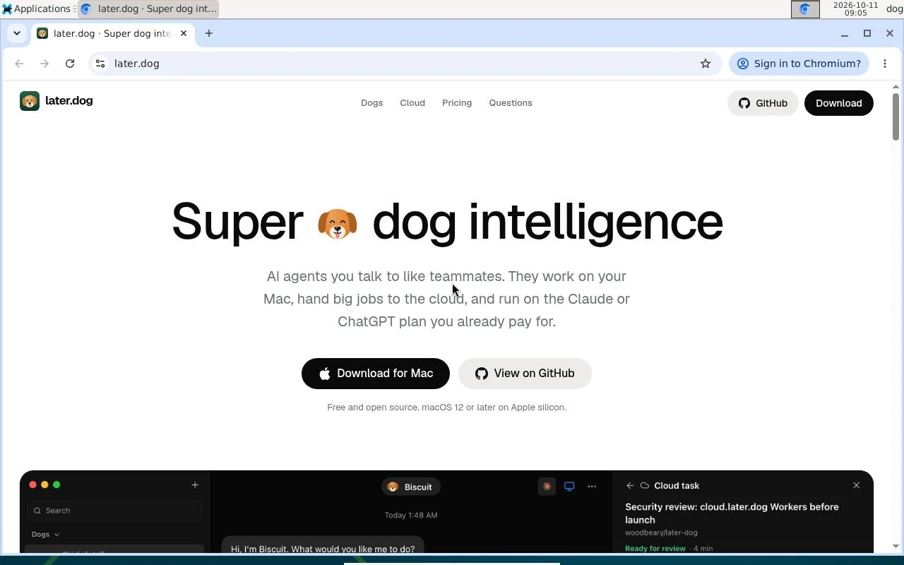 A later.dog cloud computer: a Linux desktop with Chromium open on later.dog.